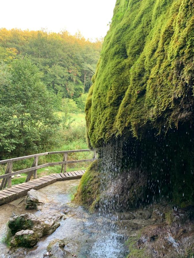 Ferienhaus Backesgarten Fuer 22 Personen Neichen Zewnętrze zdjęcie